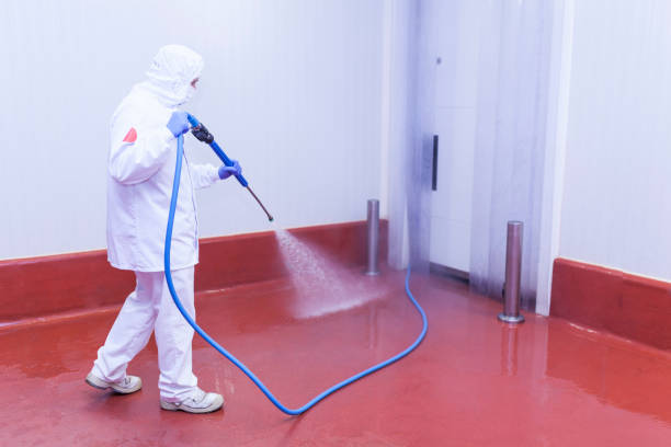Best Graffiti Removal  in Red Hill, SC