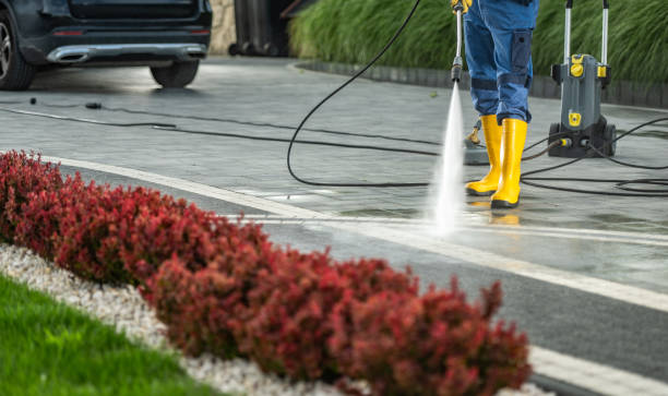 Animal Enclosure Cleaning in Red Hill, SC